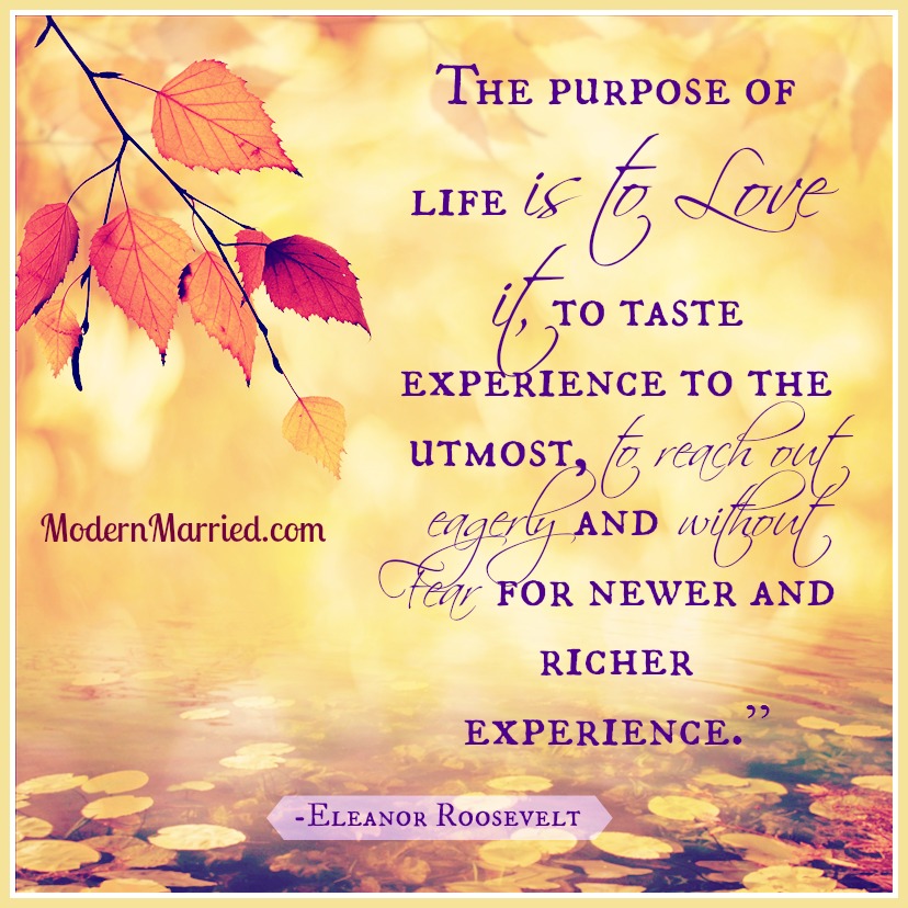 thanksgiving, gratitude, the purpose of life is to love it.